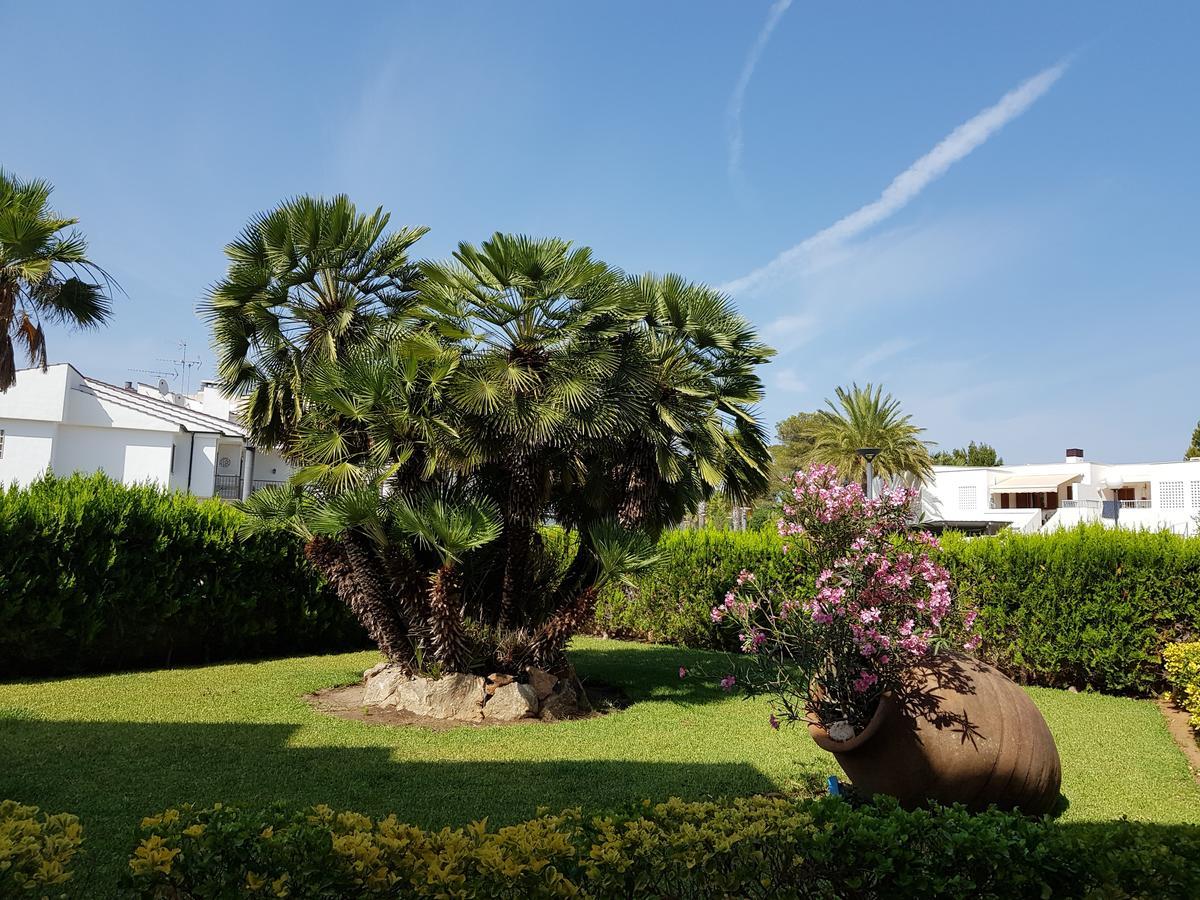 Venecia Apartments ポルト・ダルクディア エクステリア 写真